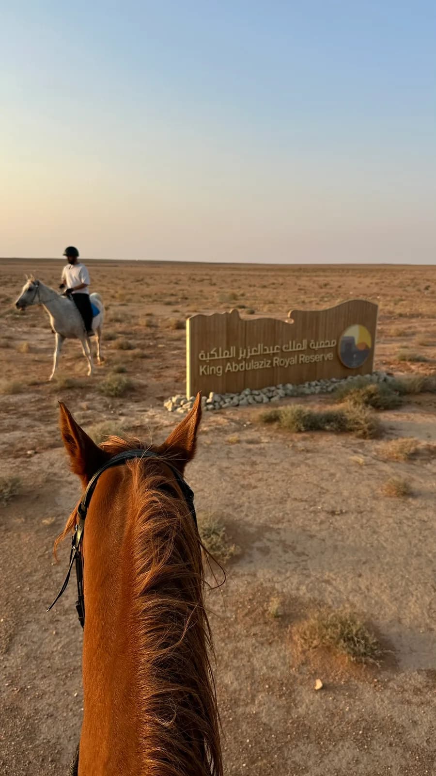 تجربة ركوب الخيول في الهواء الطلق ( محمية الملك عبدالعزيز ) 🐎